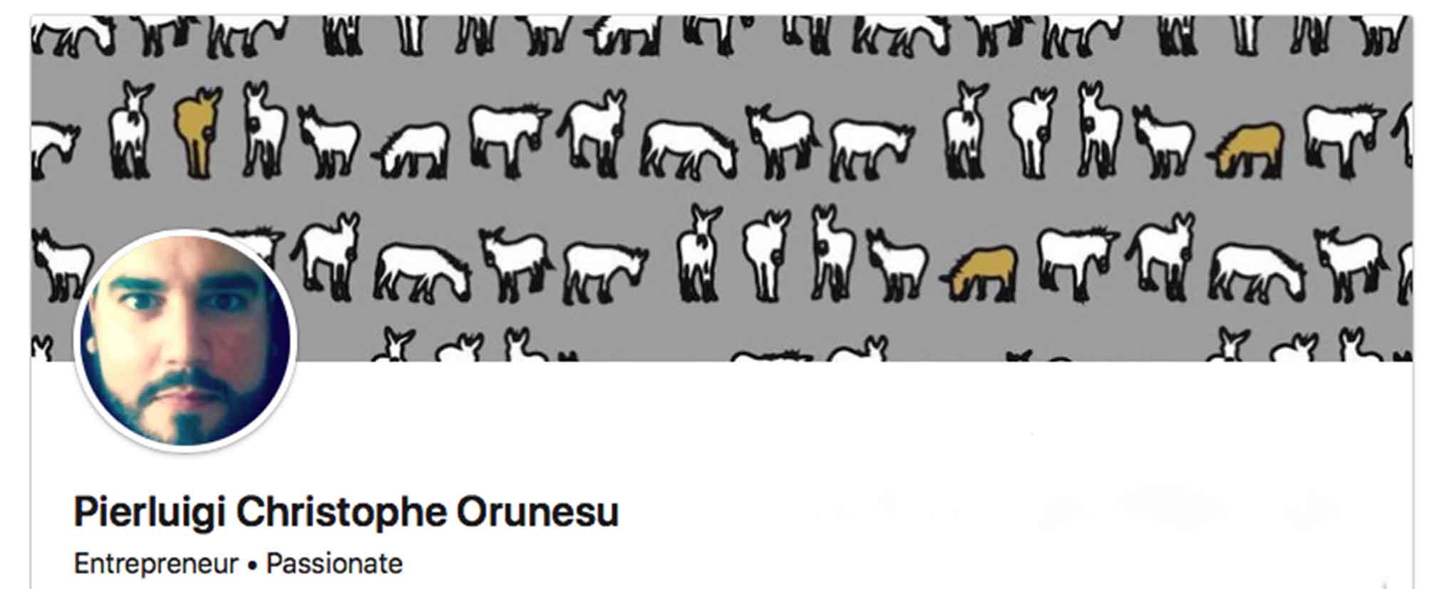 background of rows of white and gold donkey's on gray background and man's face in inset