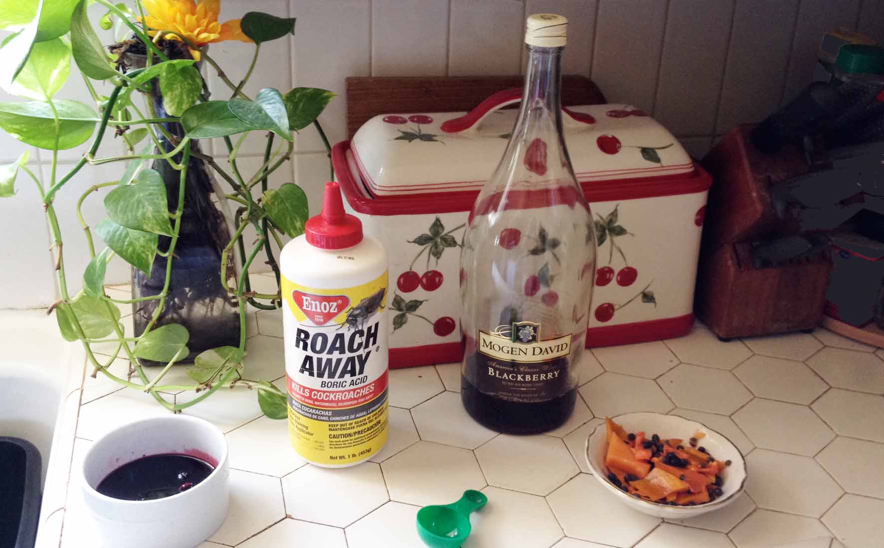  ingredients for mosquito-killing baits: blackberry wine, boric acid powder and fruit peelings and seeds (papaya) at lower left small container of bait mixture